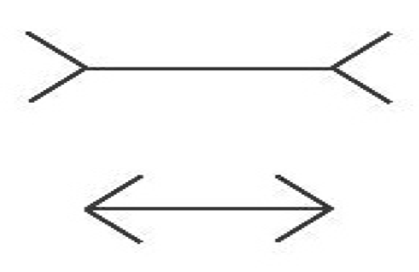 Figure 1: Standard Müller-Lyer stimuli incorporating straight lines of equal length tipped with slanting fins.